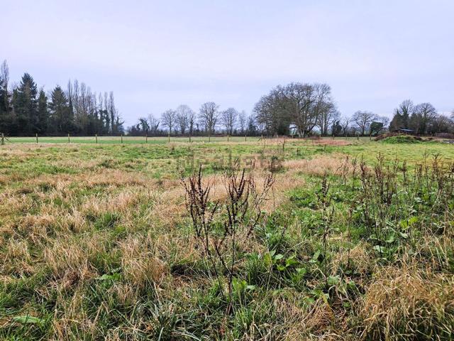Terrain vente à Le Mesnil, Drucourt
