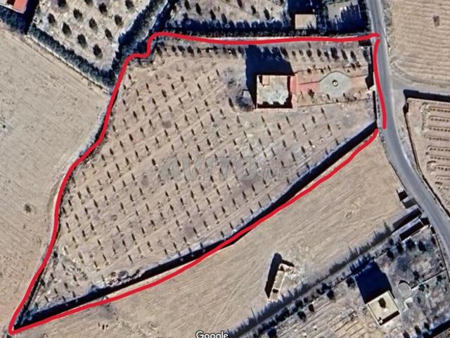 Propriété vente à Ben Slimane