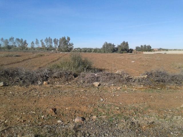 Terrain vente à Marrakech, L'Oriental