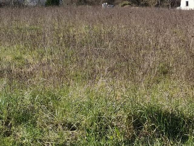 Terrain vente à France métropolitaine, Bois