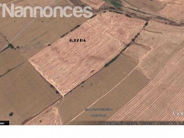 Terrain location