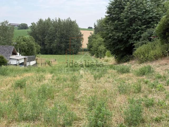 Terrain vente à Eberbach-Seltz, Collectivité européenne d'Alsace