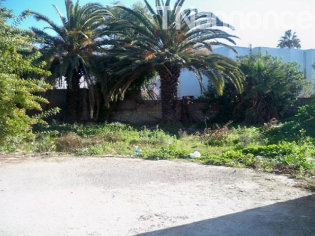 Terrain vente