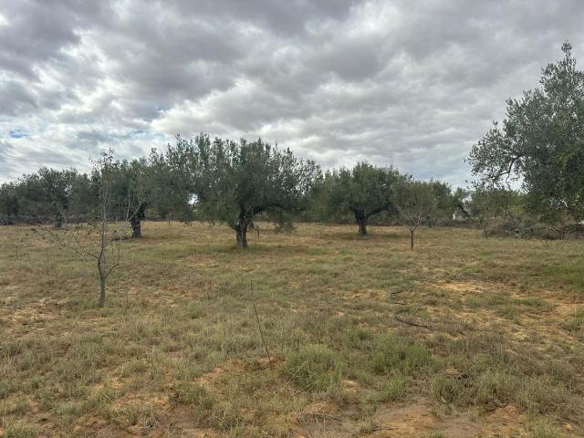 Propriété vente à Kalaa El Kebira, Akouda