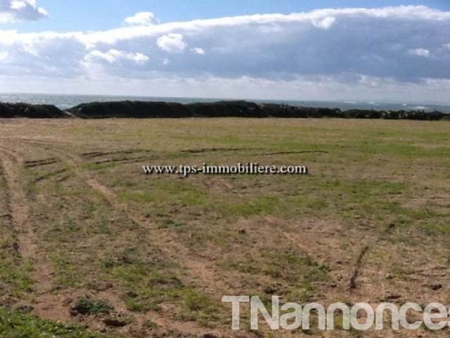 Terrain vente