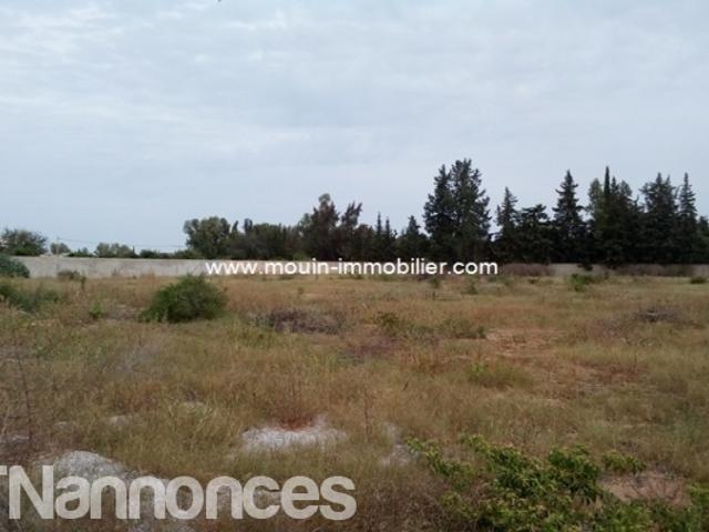 Terrain vente