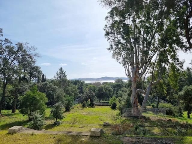 Terrain vente à Arrondissement de Draguignan, Grimaud