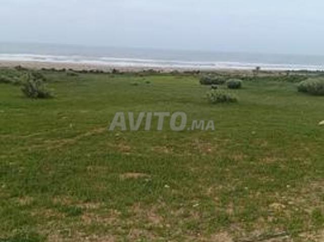Propriété vente à Essaouira, L'Oriental