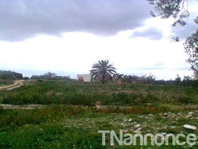 Terrain location