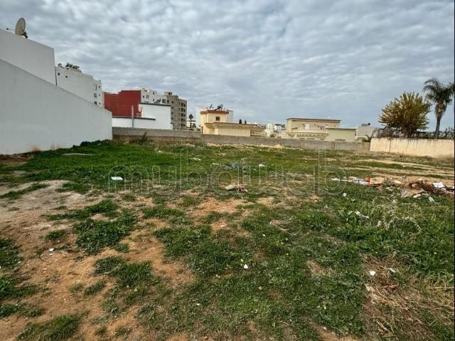 Terrain vente à Meknès