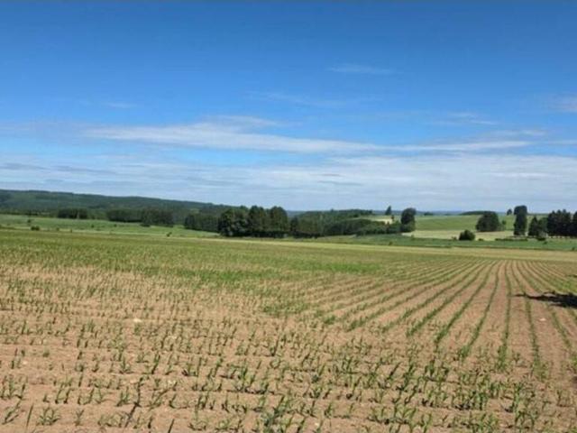 Terrain vente à Bastenaken, Wallonie