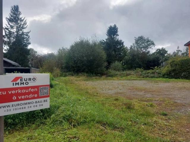 Terrain vente à Bütgenbach, Wallonie