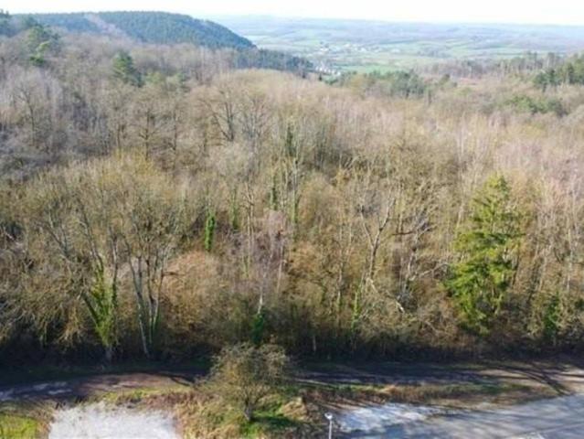 Terrain vente à Frasnes-lez-buissenal, Wallonie