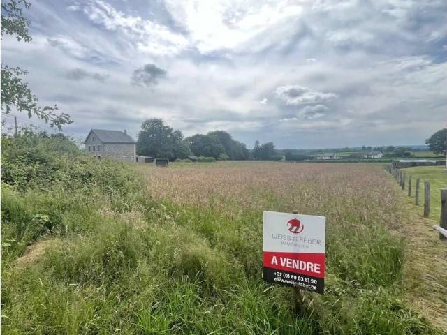 Terrain vente à Gouvy, Wallonie
