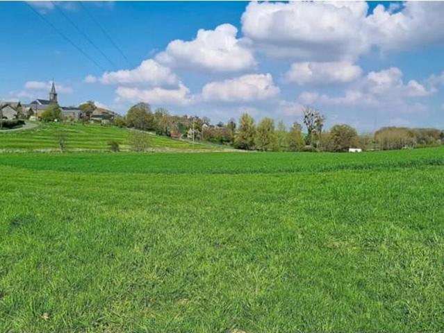 Terrain vente à Havelange, Wallonie