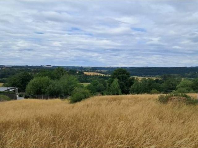 Terrain vente à Hotton, Wallonie