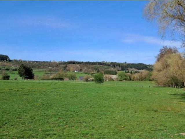 Terrain vente à Rendeux, Wallonie