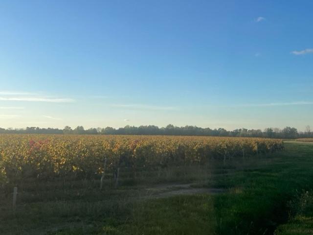 Terrain vente à Libourne, Les Artigues-de-lussac