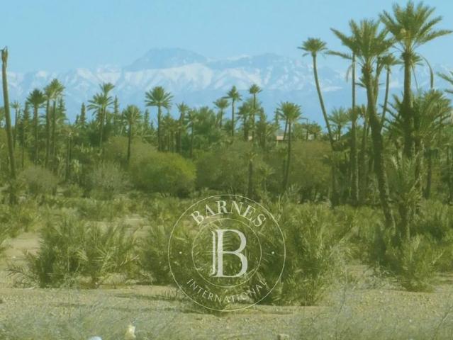 Terrain vente à Marrakech, L'Oriental