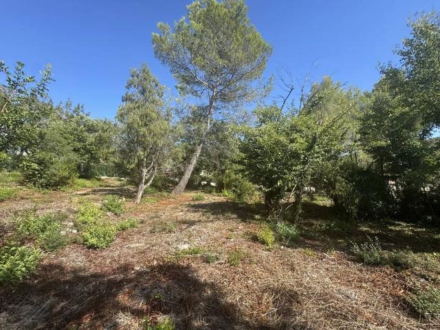 Terrain vente à France métropolitaine, Opio