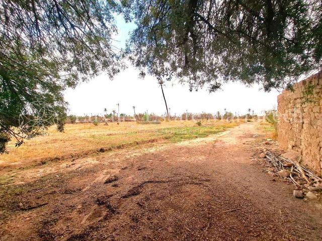 Terrain vente à Marrakech, L'Oriental