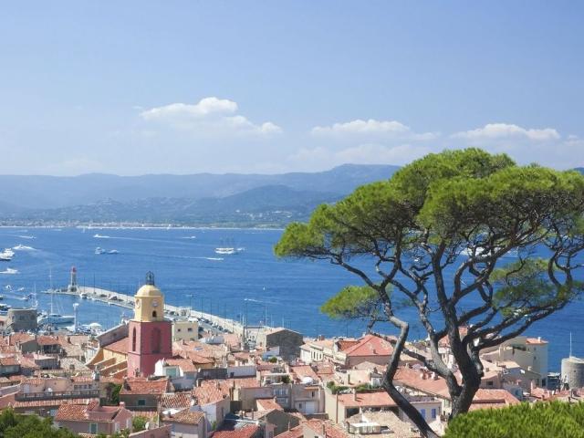 Terrain vente à Saint-tropez