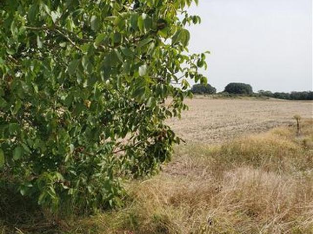 Terrain vente à Meschers-sur-gironde, Diou Terrain vente à Meschers-sur-gironde, Diou