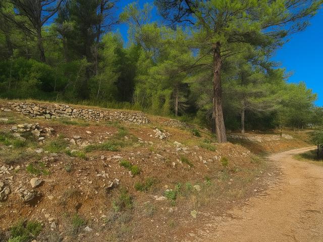 Terrain vente à Arrondissement de Toulon, Solliès-toucas