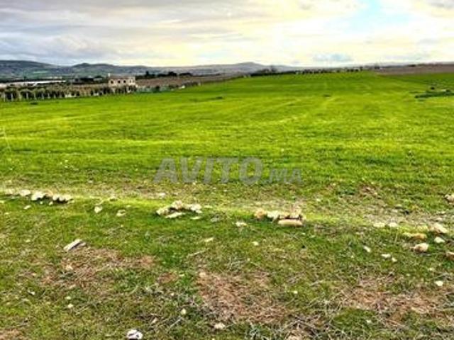 Propriété vente à Meknès