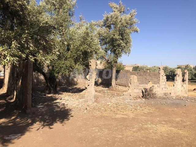 Propriété vente à Mellal