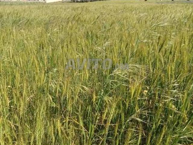 Propriété vente à Had Soualem, Gharb-Chrarda-Beni Hssen