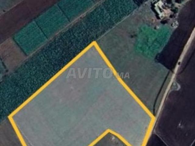 Propriété vente à El Ma, Gharb-Chrarda-Beni Hssen