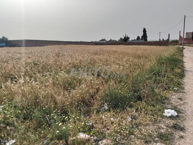 Propriété vente à Saf, L'Oriental