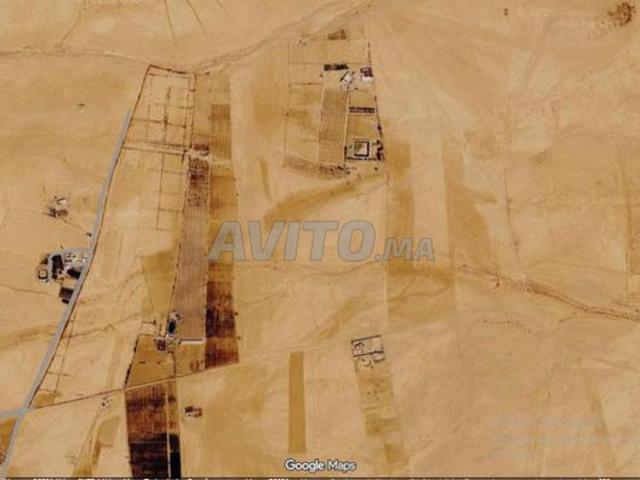 Propriété vente à Guelmim