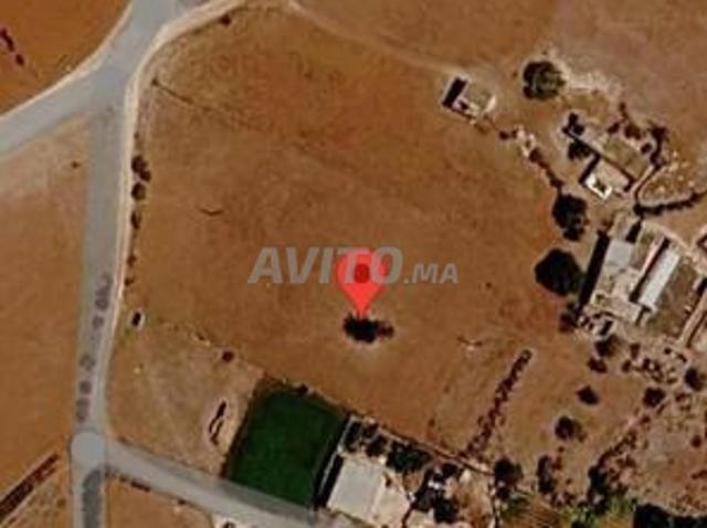 Propriété vente à El Ma, Gharb-Chrarda-Beni Hssen