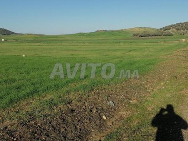 Propriété vente à El Kebir, Tanger-Tétouan