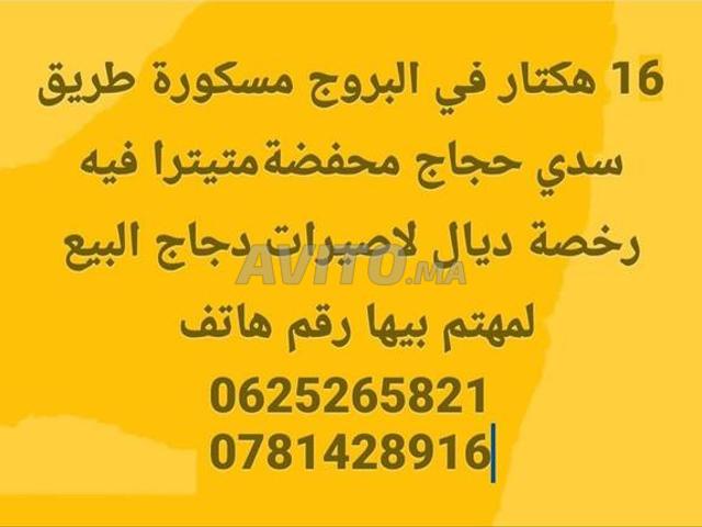 Propriété vente à El Borouj, Gharb-Chrarda-Beni Hssen