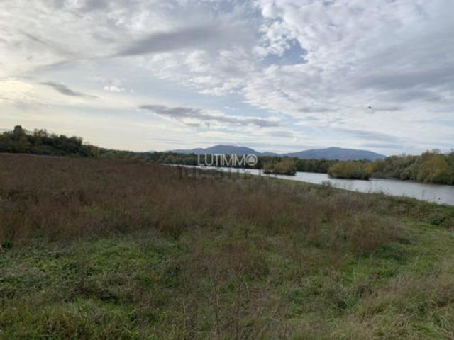 Terrain vente à Ensisheim, Collectivité européenne d'Alsace