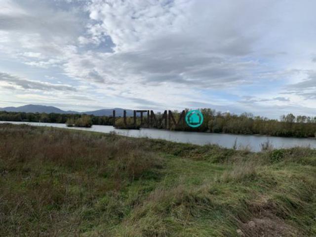 Terrain vente à Ensisheim, Collectivité européenne d'Alsace