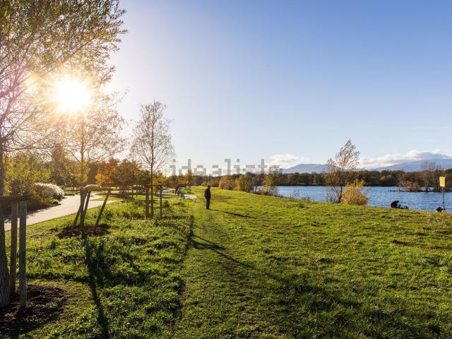 Terrain vente à Ensisheim, Collectivité européenne d'Alsace