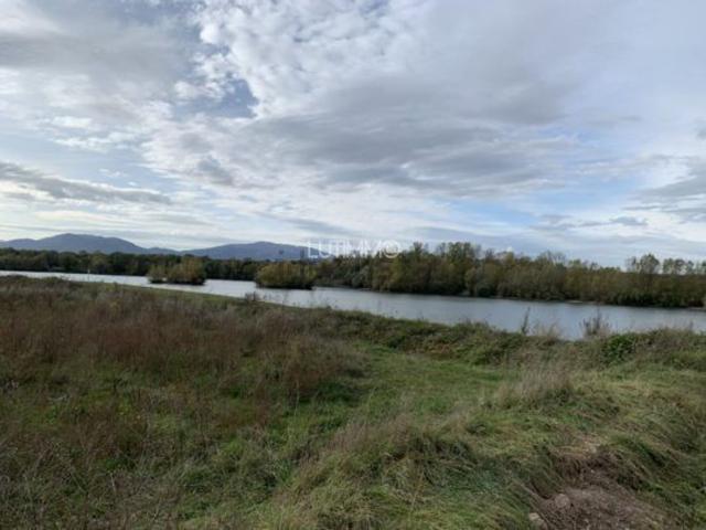 Terrain vente à Ensisheim, Collectivité européenne d'Alsace