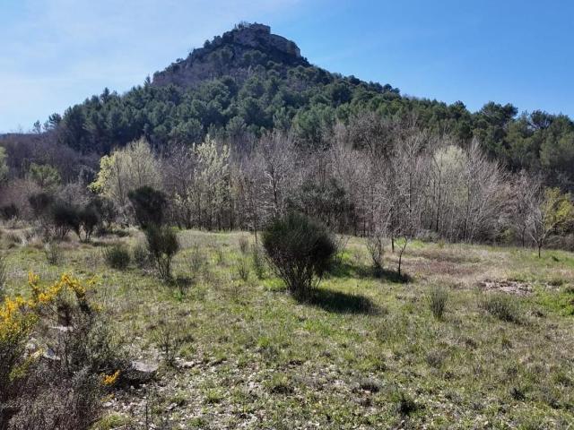 Terrain vente à Le Puyberlie, Entrechaux