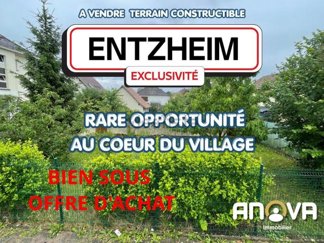 Terrain vente à Entzheim, Collectivité européenne d'Alsace