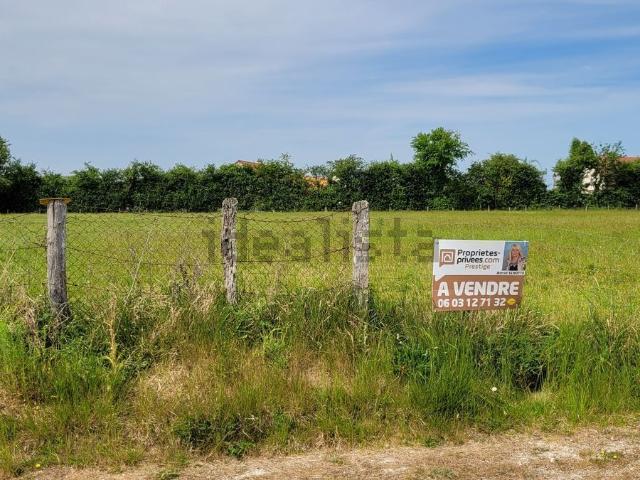 Terrain vente à La Bedellerie, Épuisay