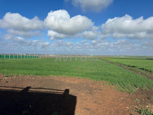 Propriété vente à El Gara, Gharb-Chrarda-Beni Hssen