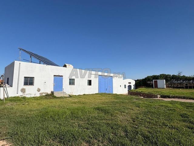 Propriété vente à Saf, L'Oriental