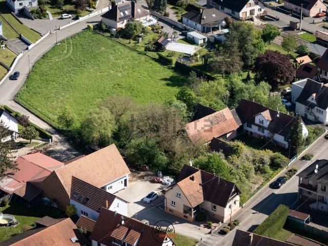 Terrain vente à Eschbach, Collectivité européenne d'Alsace