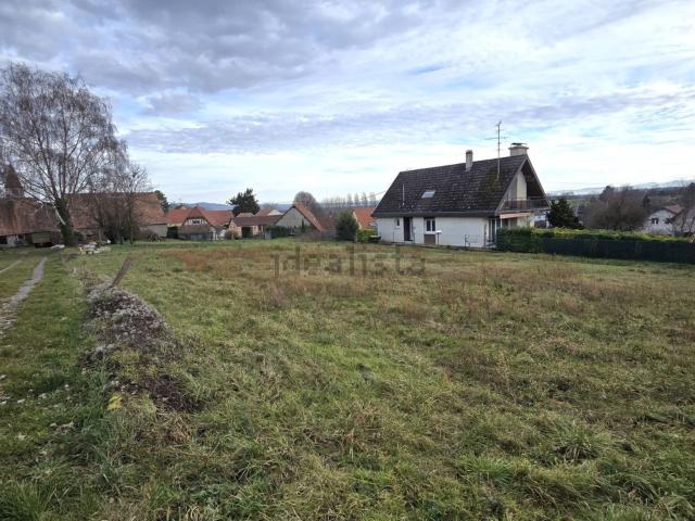 Terrain vente à Eschentzwiller, Collectivité européenne d'Alsace