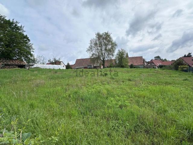 Terrain vente à Eschentzwiller, Collectivité européenne d'Alsace