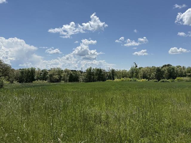 Terrain vente à Les Côtes, Espinasse-Vozelle
